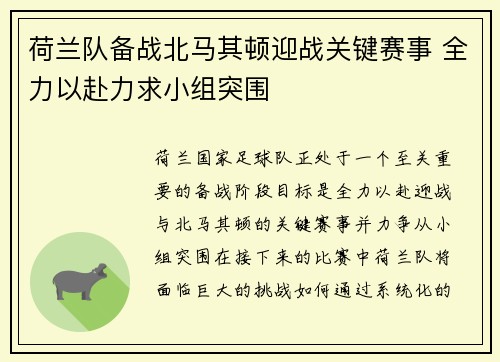 荷兰队备战北马其顿迎战关键赛事 全力以赴力求小组突围